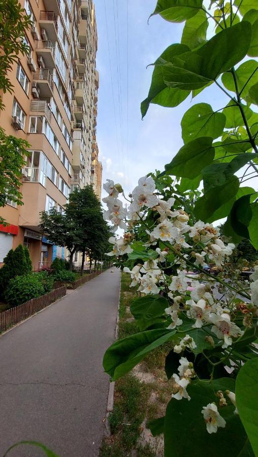 קייב Просторі Апартаменти מראה חיצוני תמונה